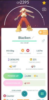 HIGH CP BLAZIKEN + 3 MOVES UNLOCKED + LEGACY BLAST BURN ||| Torchic Evolution - Pokemon Go Services