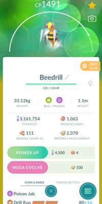 PURIFIED BEEDRILL + 3 MOVES UNLOCKED + LEGACY DRILL RUN ||| Weedle Evolution - Pokemon Go Services