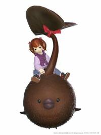 Final Fantasy 14 XIV Online Chocorpokkur Mount code Butterfinger Mount Chocolo Chocor Pockle Serial Code FF14 Lawson Benefits