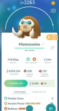 LEVEL 40 MAMOSWINE + 3 MOVES UNLOCKED + LEGACY ANCIENT POWER ||| Swinub Evolution - Pokemon Go Services