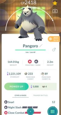 HIGH CP PANGORO + 3 MOVES UNLOCKED ||| Pancham Evolution - Pokemon Go Services