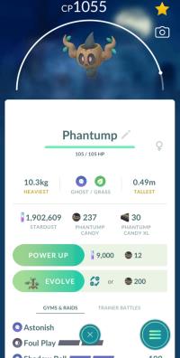 UL PHANTUMP + 3 MOVES UNLOCKED ||| Evolve It Into Trevenant After the Trade With No Cost - Pokemon Go Services