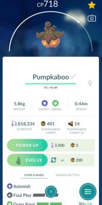 PUMPKABOO + 3 MOVES UNLOCKED ||| Evolve It Into Gourgeist After the Trade With No Cost - Pokemon Go Services