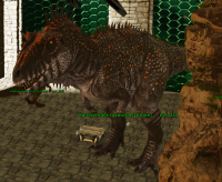 ASA PVE ALL SERVER PC XBOX PS - CARCHARODONTOSAURUS ADULT 100 % IMPRINT * 32 553 HP ; 304 % MELEE *