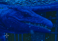 ASA PVE ALL SERVER PC XBOX PS - MOSASAURUS FEMALE 100% IMPRINT 31 795 HP 1880 STAMINA 2870 WEIGHT 476,4 % DMG