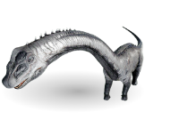 ASA PVE IMPRINTING100% BRONTSAURUS LEVEL306 HP26380.2 ST1392 WE4070.4 DMG509.2 RANDOM COLORS SADDLE INCLUDING DELIVER TO BASE